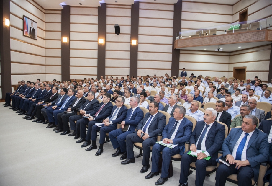 Lənkəranda sitrus meyvəçiliyinin və çayçılığın inkişafına həsr olunmuş zona müşavirəsi keçirilib