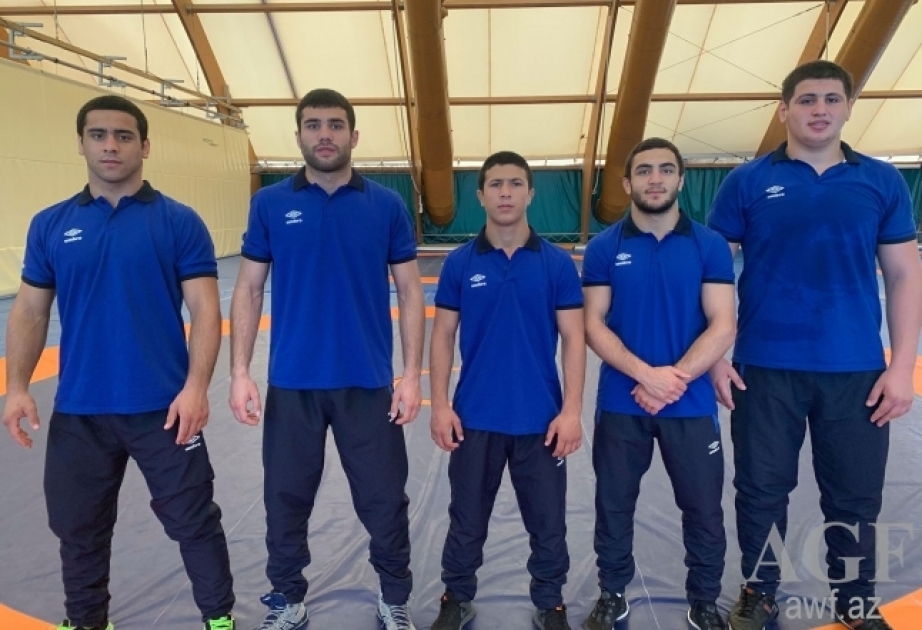 Azerbaijani wrestlers to contest medals at Junior European Championships