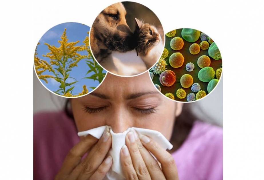 Открытие: аллергия, болезнь кожи и особые бактерии связаны
