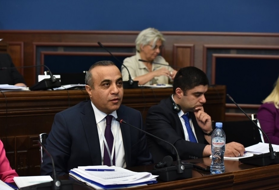 نائب رئيس الجمعية البرلمانية الأوروبية: خبرة البرلمان الأذربيجاني تكون مفيدة لهيئات التشريع الأجنبية