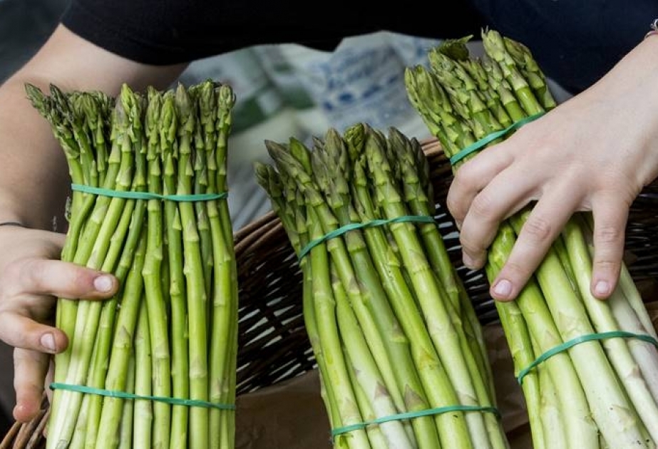 Безопасность пищевых продуктов – дело каждого