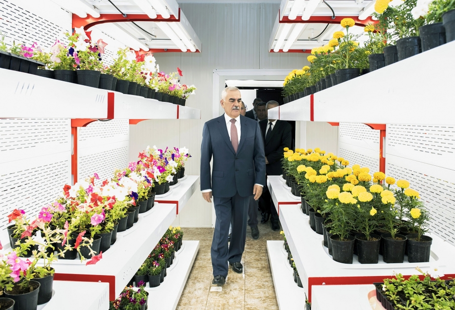 Naxçıvanda müasir ağacyetişdirmə sahəsi – “İqlim otağı” fəaliyyətə başlayıb