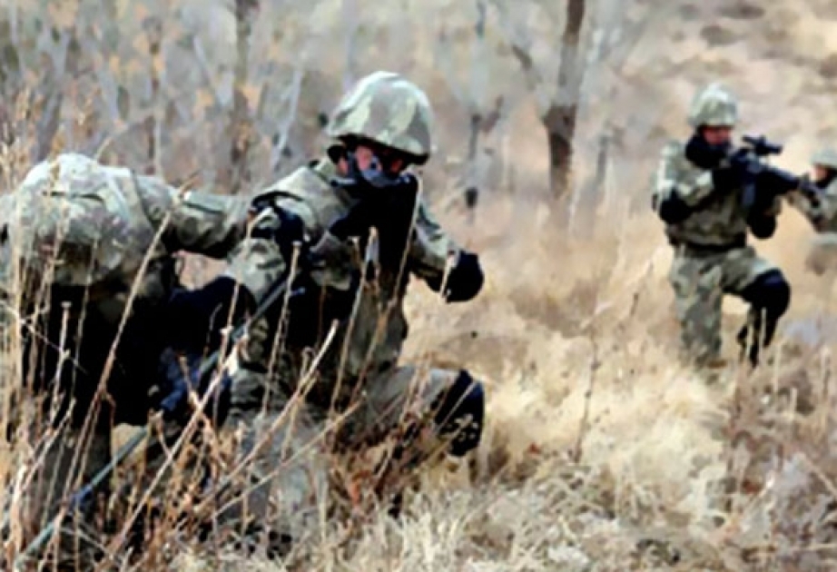 Türkiyədə daha bir təhlükəli terrorçu məhv edilib