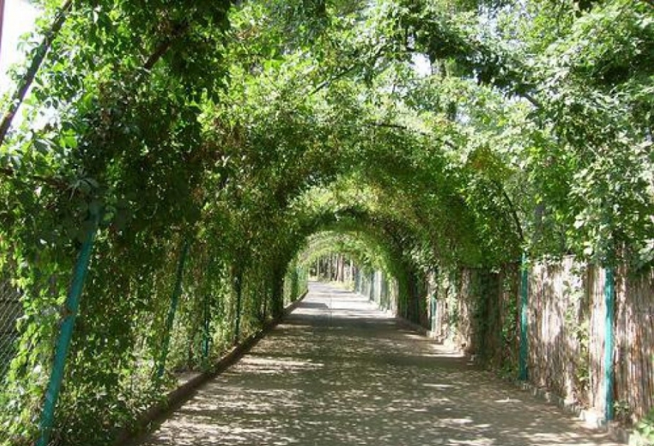 Jardín botánico de Bakú es el mejor parque