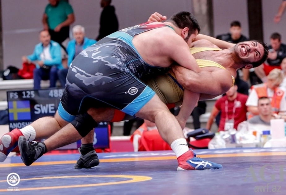 Junior Azerbaijani wrestlers claim two more medals at European Championships