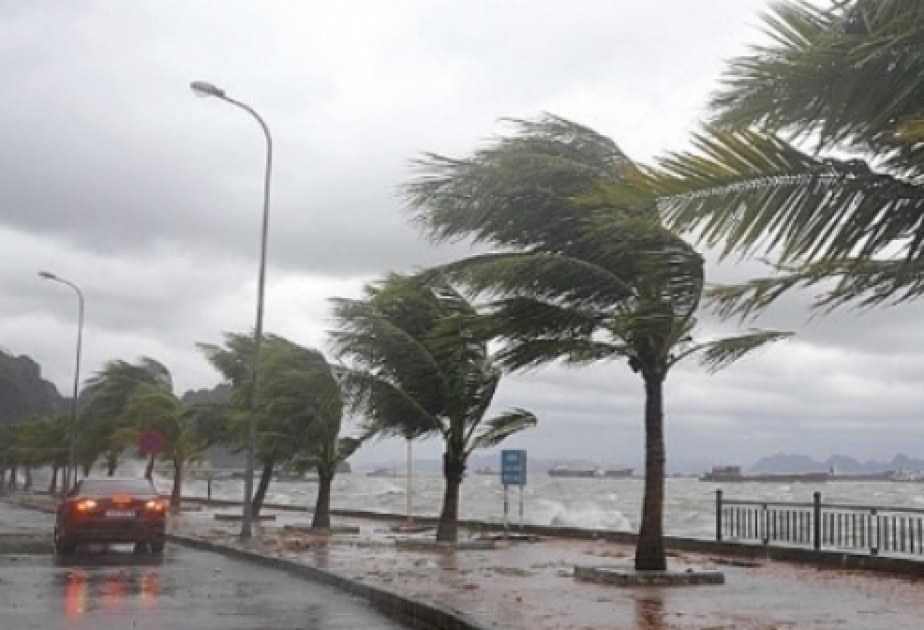Cyclone Vayu poised to hit India as year's second major storm