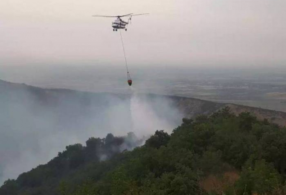 FHN: Qobustanda dağlıq ərazidə baş verən yanğının söndürülməsinə helikopter cəlb olunub