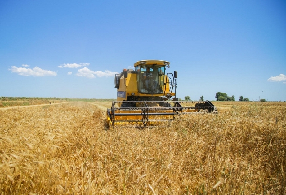 بيان خاص حول حصاد الحبوب على نطاق البلد إلى اليوم – جدول