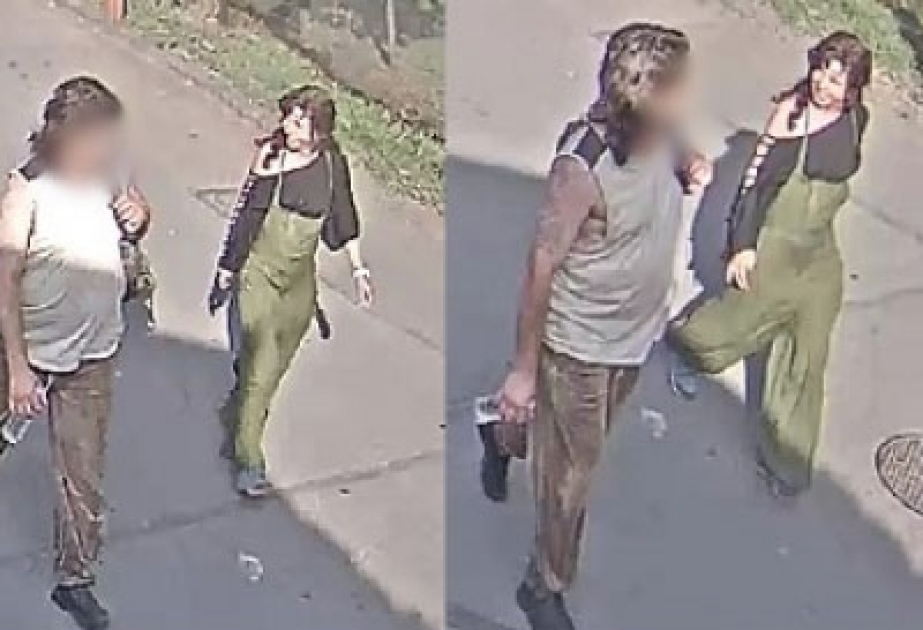 Полиция Будапешта разыскивает женщину, смертельно ранившую в зоопарке черепаху