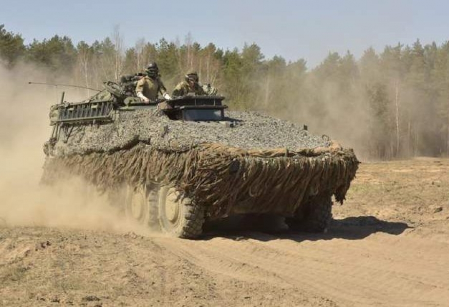 Международные военные учения "Железный волк 2019-1" в Литве посетят зарубежные наблюдатели