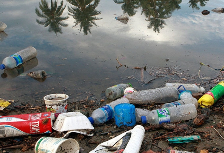 ФАО предлагает 5 способов уменьшения зависимости от пластмассы