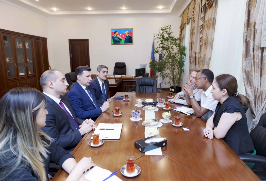 Reunión con consultores de UNICEF en la Universidad de Medicina de Azerbaiyán