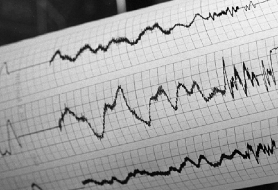 Землетрясение магнитудой 6,2 произошло у берегов Новой Зеландии