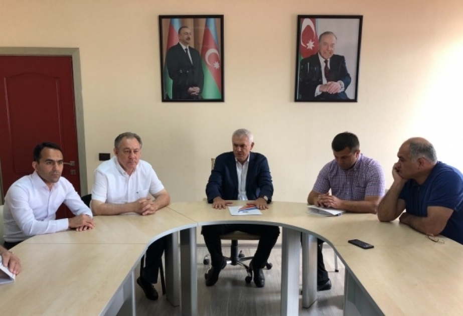 Gənclər arasında Avropa çempionatında medal qazanmış güləşçilər mükafatlandırılıb
