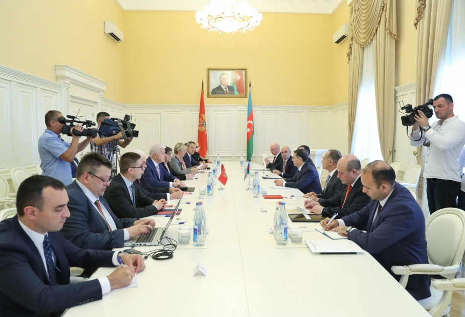 Azərbaycanın və Monteneqronun Baş nazirlərinin görüşü olub