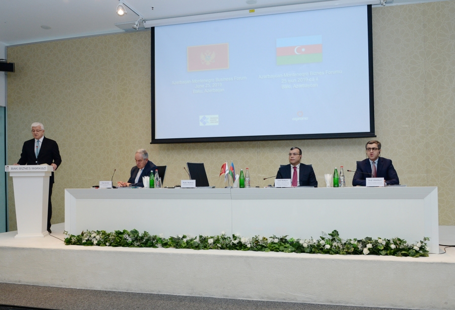 Azerbaiyán es el principal inversor extranjero directo en Montenegro