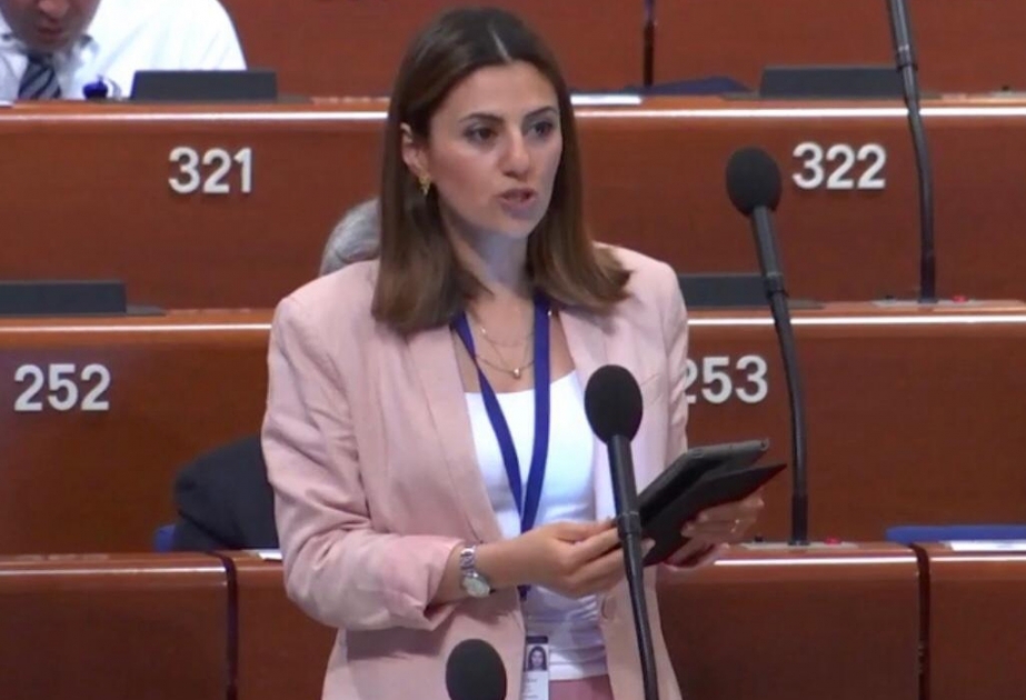 Sevinc Fətəliyeva: Hər hansı həssas məsələ ilə bağlı bir işdə şəxsi maraqların üstün tutulması yolverilməzdir