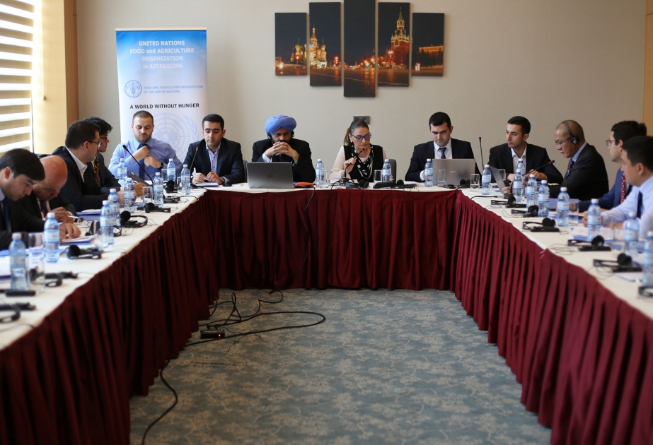 FAO üç ölkənin kənd təsərrüfatı üzrə ixracın təşviqi milli strategiyalarının hazırlanması üzrə regional planlaşdırma seminarı keçirir