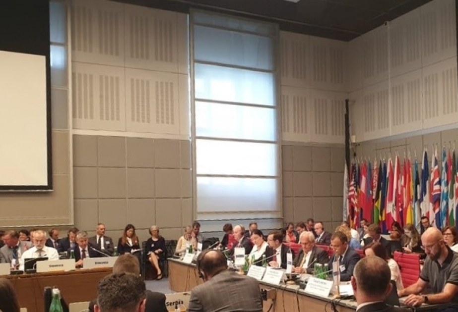 Vyanada ATƏT və MDB İcraiyyə Komitəsinin iştirakı ilə konfrans keçirilib