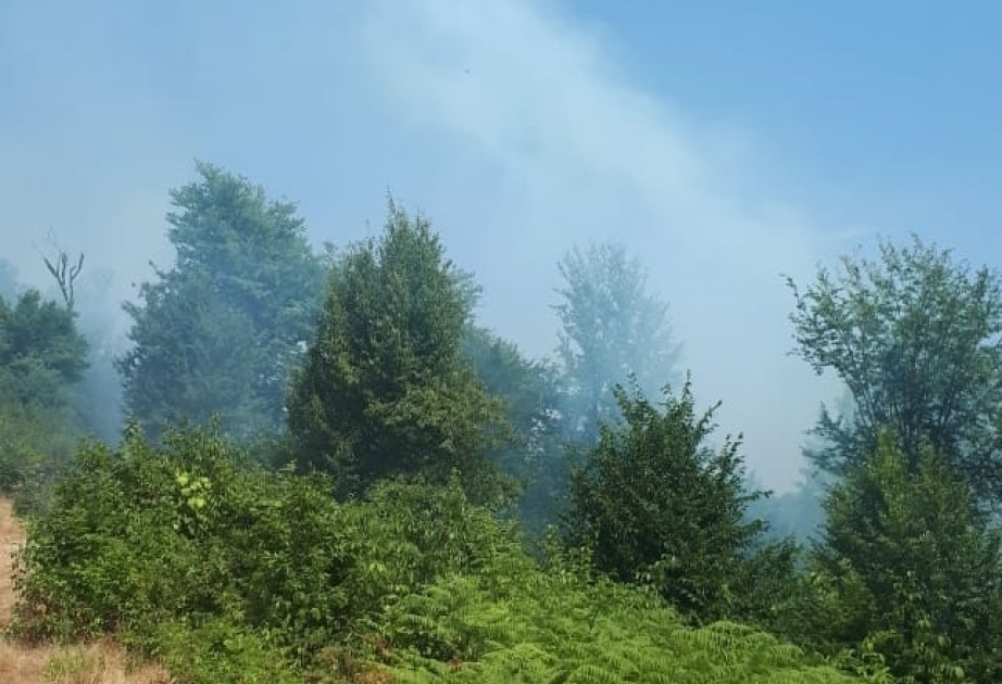 Из-за удара молнии в горной местности Гирканского нацпарка вспыхнул пожар