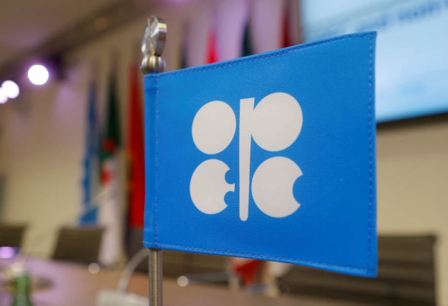 Azerbaijani energy minister to attend 6th OPEC and non-OPEC ministerial meeting in Vienna