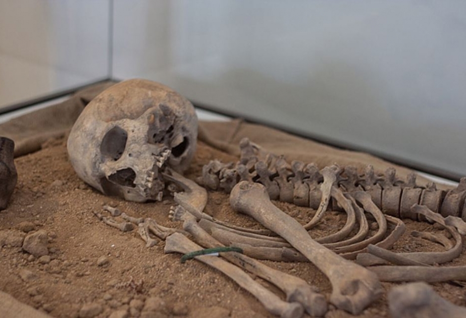 Найдены следы древнейшего убийства в истории человечества