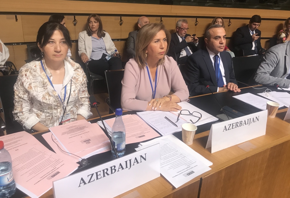 Une délégation parlementaire azerbaïdjanaise participe à la session annuelle de l’AP de l’OSCE