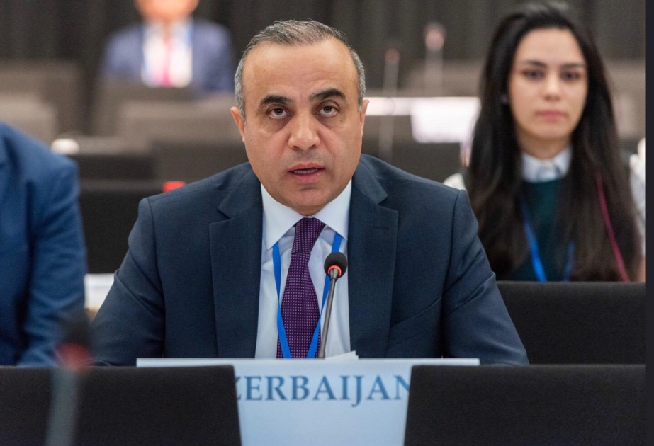 Депутат Азай Гулиев выступил на заключительном пленарном заседании Парламентской Ассамблеи ОБСЕ ВИДЕО