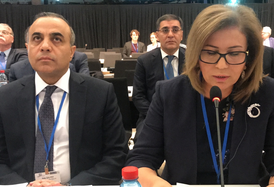 La vicepresidenta del parlamento azerbaiyano intervino en la sesión plenaria de clausura de la AP de la OSCE