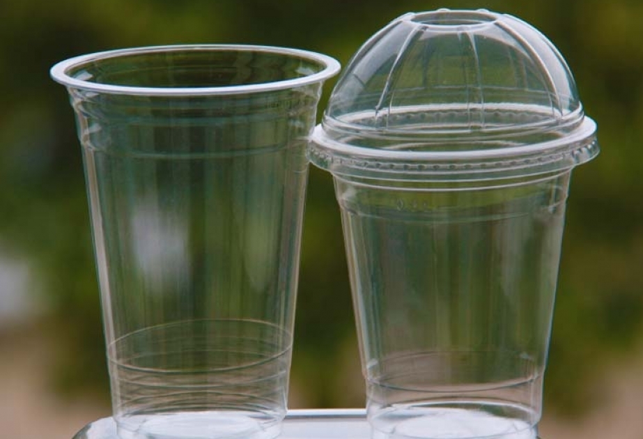 В Швеции хотят запретить стаканчики и контейнеры для пищевых продуктов, сделанные из пластика