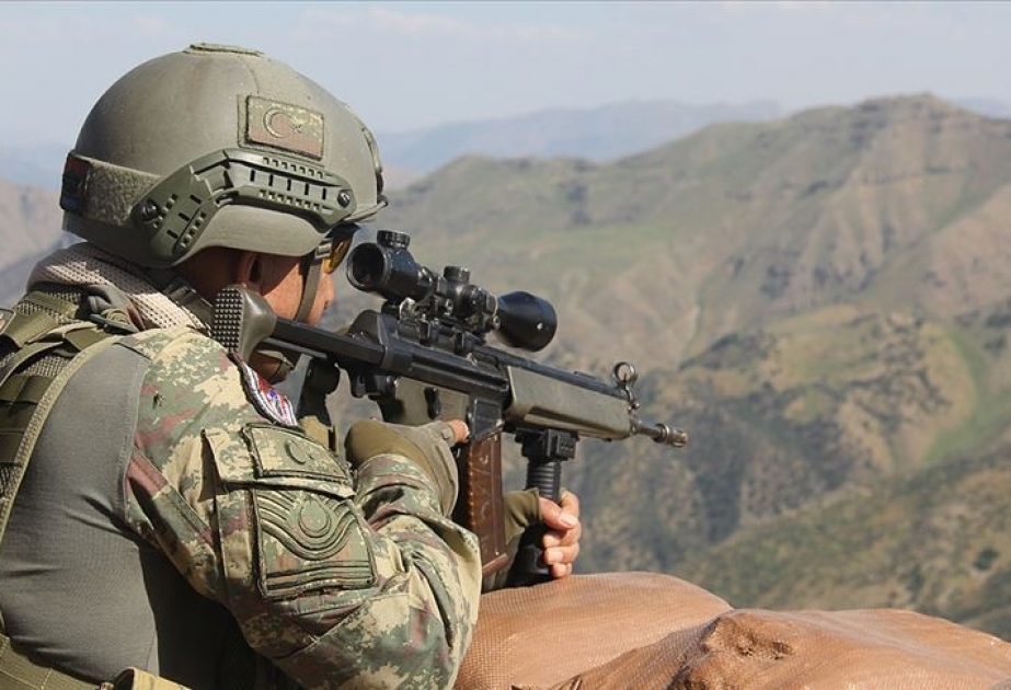 Türkiyə ordusunun iki hərbçisi şəhid olub