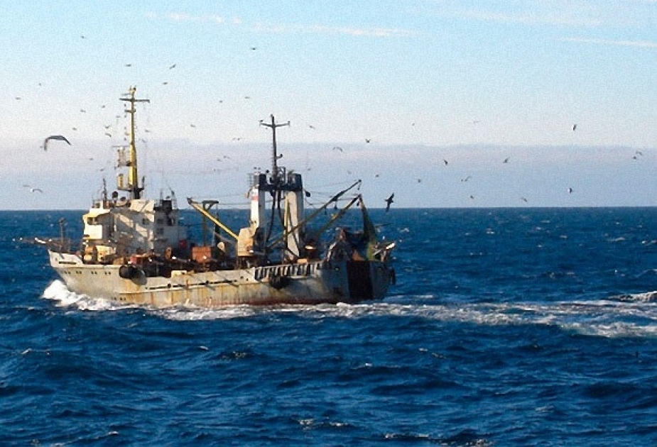 Vyetnama məxsus balıqçı gəmisi batan Çin qayığının bütün ekipajını xilas edib