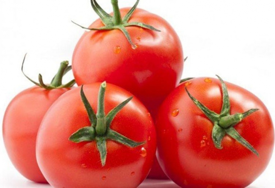 Pomidor zəhərli maddələri orqanizmdən təmizləyir