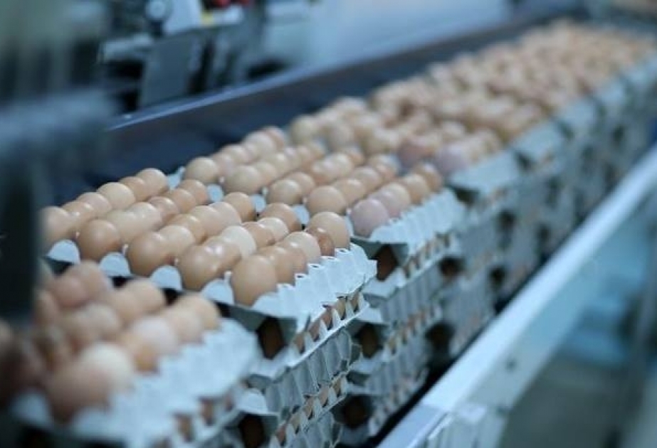 Bosniya və Herseqovina Avropa İttifaqı ölkələrinin bazarına yumurta ixrac edəcək