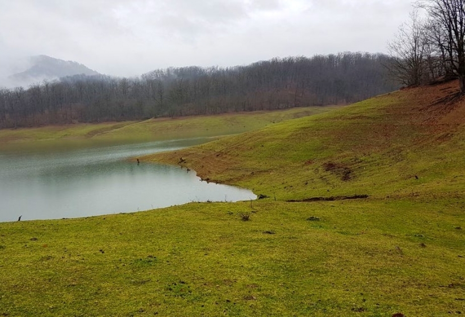 Parque Nacional Hirkan – Hogar del Leopardo