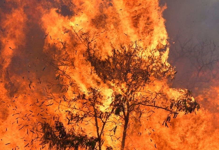 Großbrand auf Hawaii: Hunderte Menschen in Flucht geschlagen