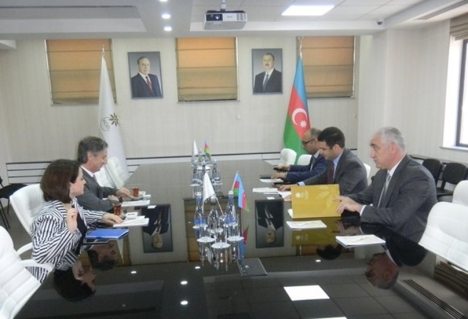 Le PNUD est intéressé par la réalisation des projets conjoints avec l’Agence azerbaïdjanaise pour le développement des PME