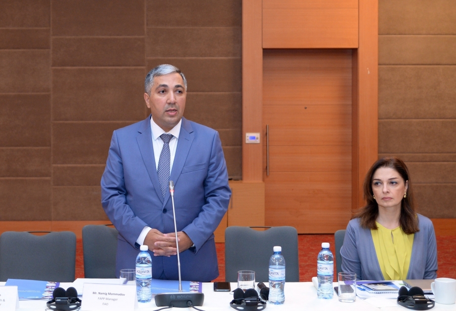 La FAO lleva a cabo una reunión consultiva de partes interesadas sobre el desarrollo del sector de la cría de ovejas