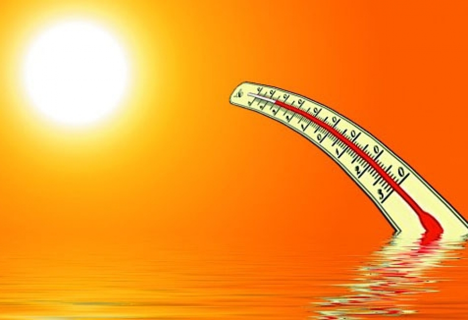 Июнь 2019 года стал самым жарким в мире за последние 140 лет