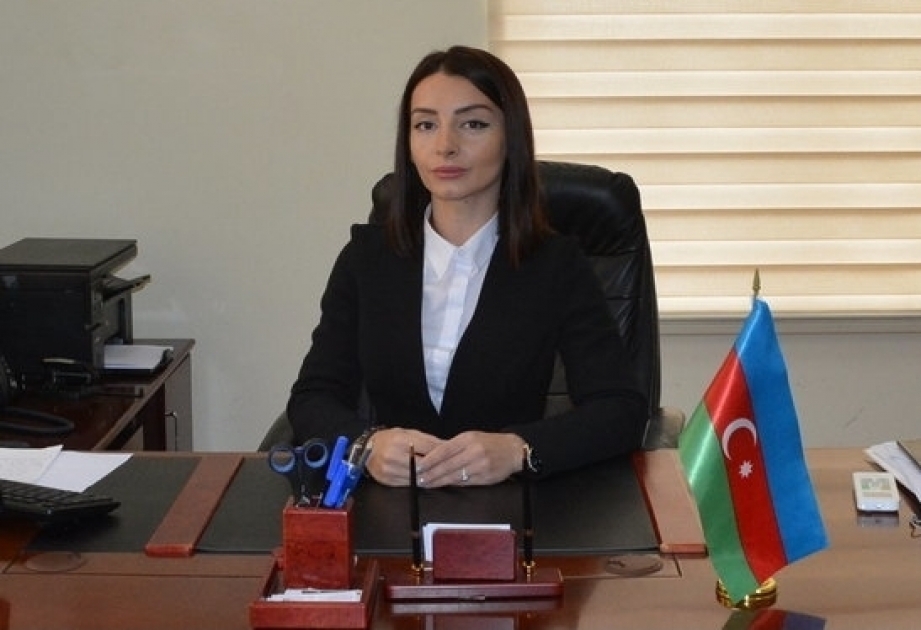 Leyla Abdullayeva: “La actividad infundada de los grupos de presión armenios no afectará las relaciones entre Azerbaiyán y Australia”