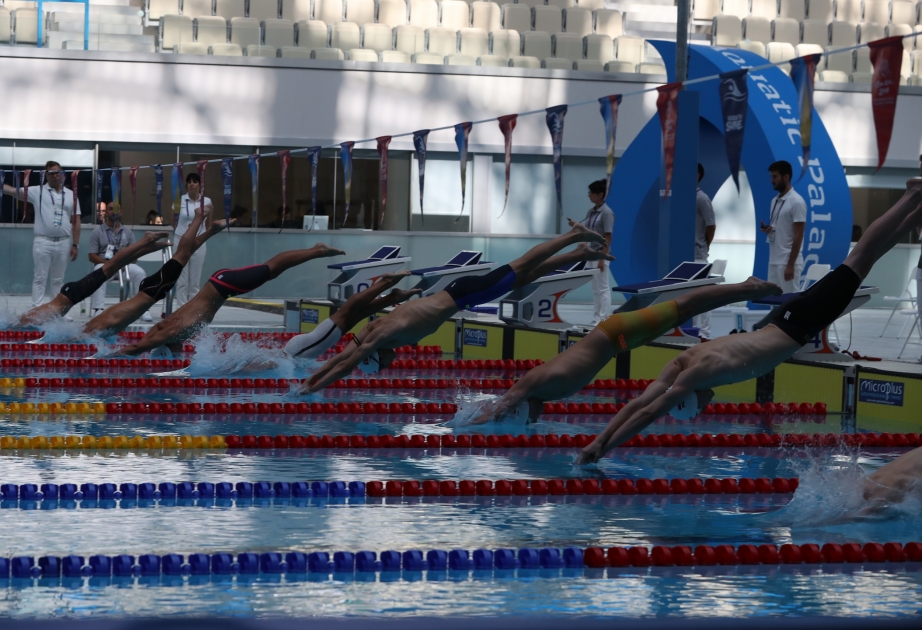 “EYOF Bakı 2019”: Bakı Su İdmanı Sarayında üzgüçülük yarışlarına start verilib
