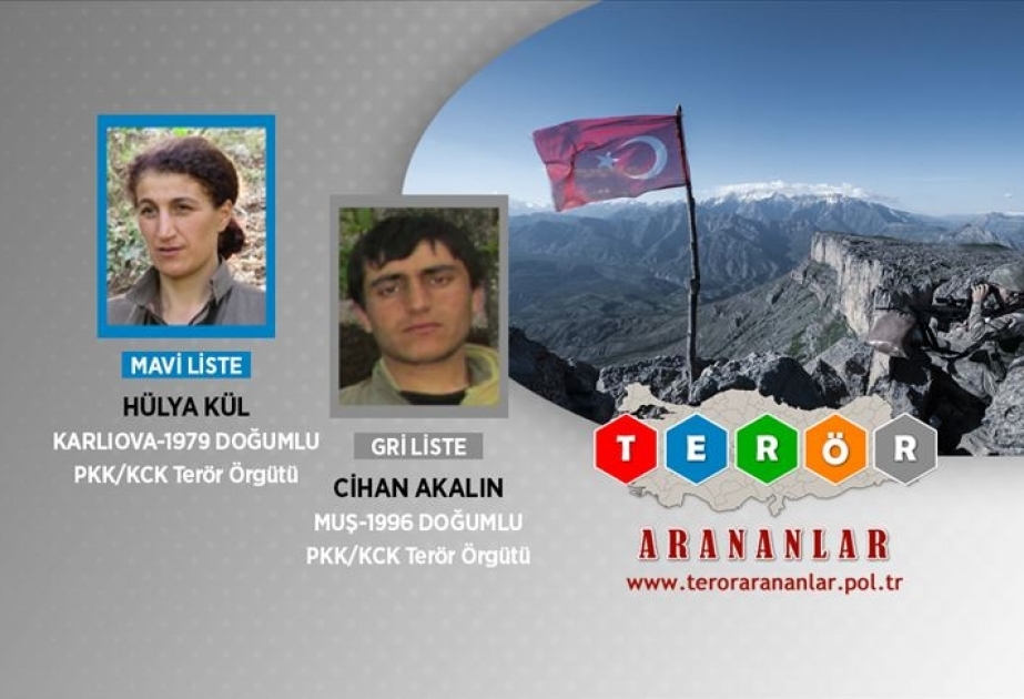 Türkiyədə axtarışda olan daha iki təhlükəli terrorçu zərərsizləşdirilib