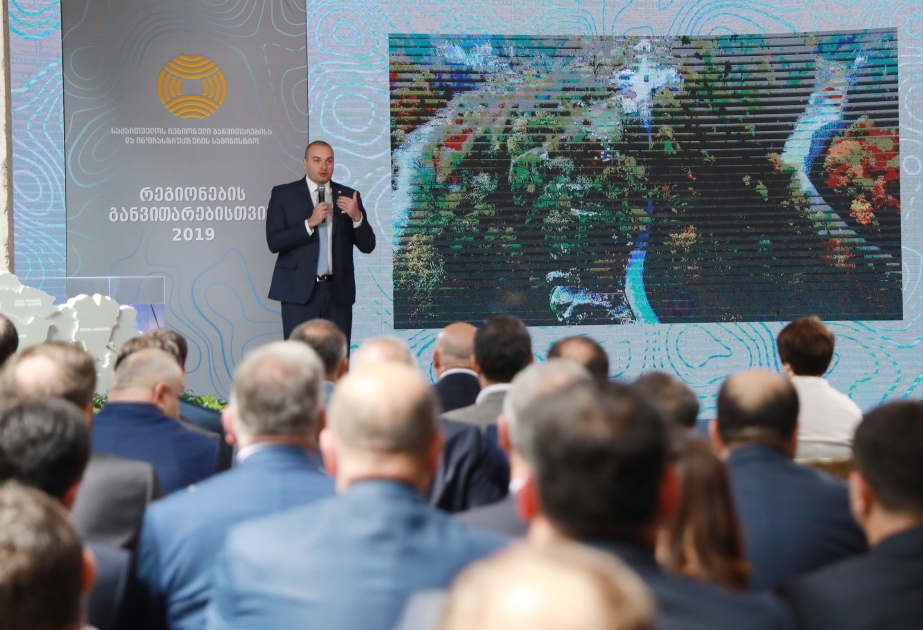 Gürcüstan hökuməti regionların inkişafına diqqəti artırıb