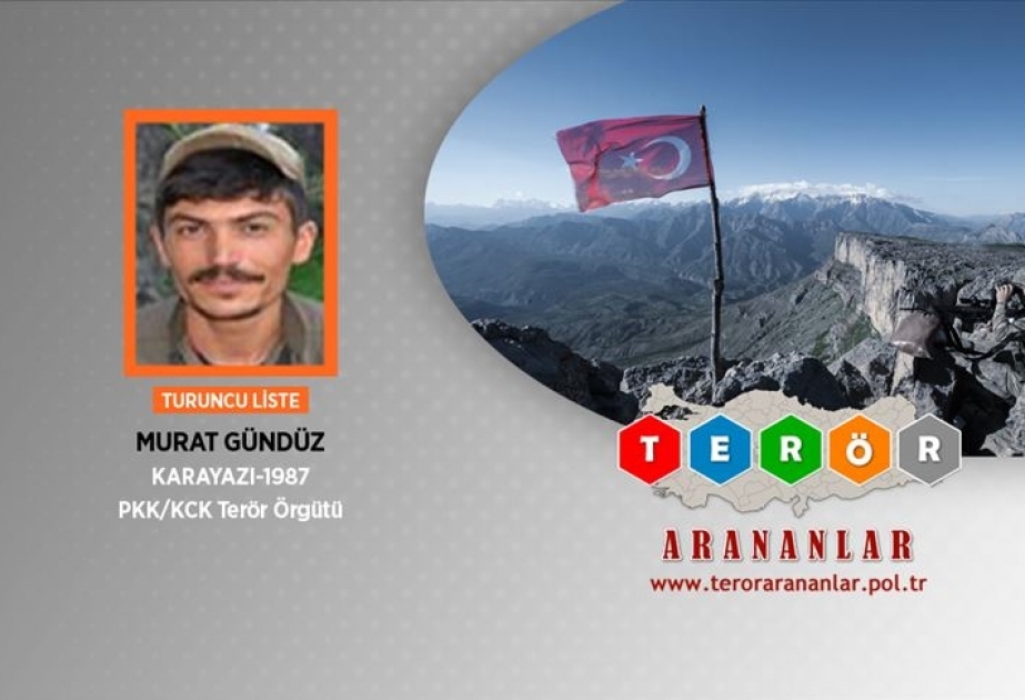 Türkiyənin təhlükəsizlik qüvvələri tərəfindən axtarışda olan “Devran” ləqəbli terrorçu məhv edilib