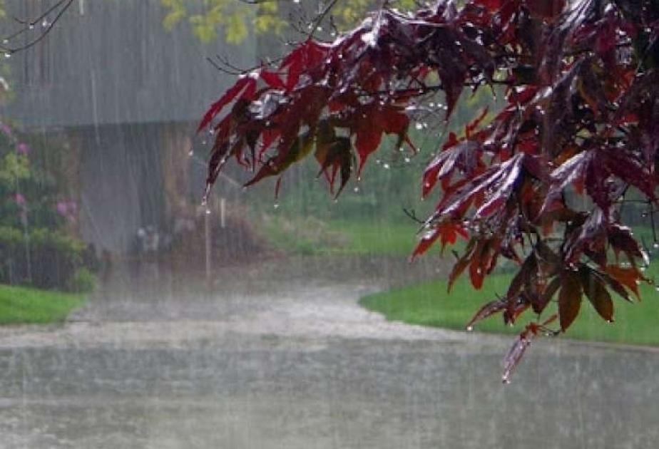 الأرصاد الجوية تتوقع الامطار الغزيرة والبرد في أجواء بعض المحافظات للغد