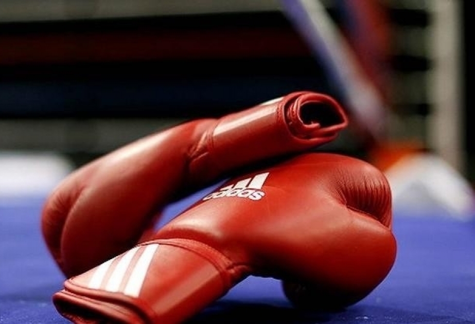 Quinze boxeurs azerbaïdjanais disputeront les championnats d'Europe à Tbilissi