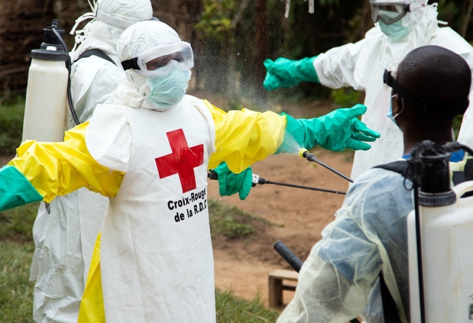 Совет Безопасности предупреждает о возможности распространения Эболы