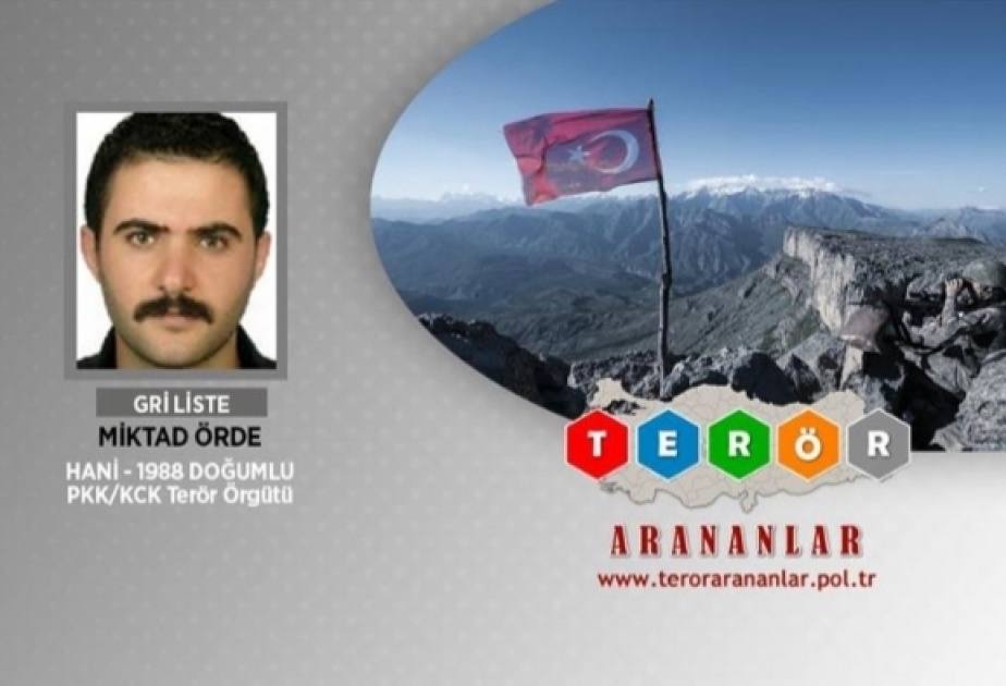 Türkiyədə axtarışda olan daha bir terrorçu zərərsizləşdirilib