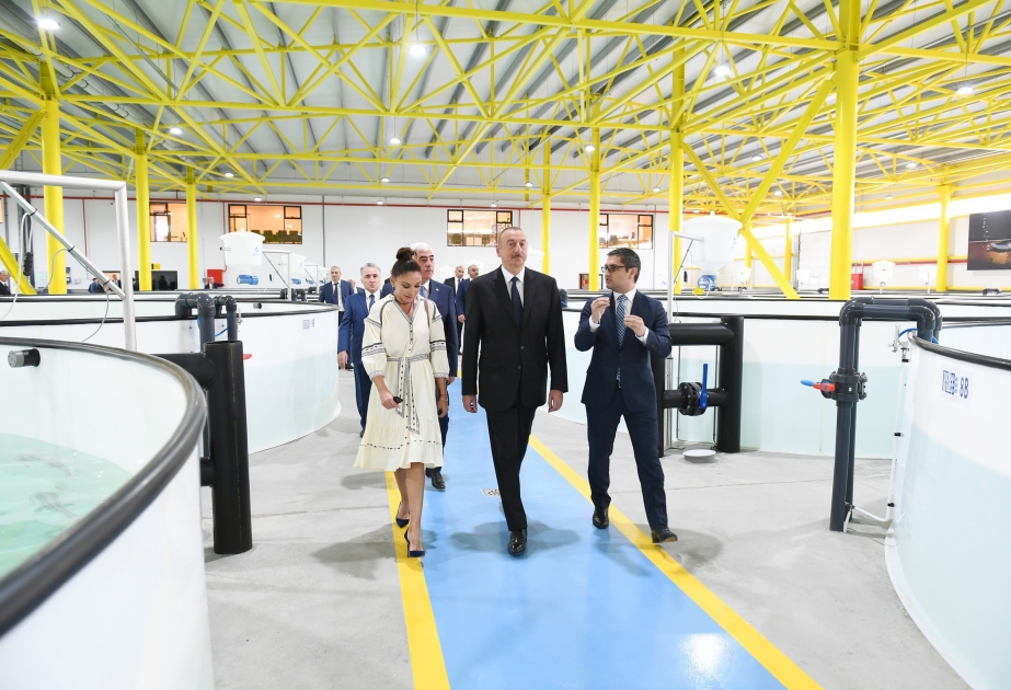 Präsident Ilham Aliyev besucht neu gegründete Fischzuchtanlage “NäräMIZ“ im Pirallahi Rayon VIDEO