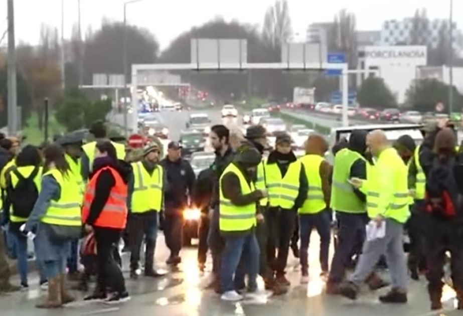 Sürücülərin tətili fermerlərə 21 milyon avroya başa gələ bilər